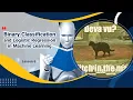 Binary Classification and Logistic Regression in Machine Learning Lesson 6
