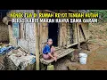 Download Lagu LIHATLAH BIKIN HATI PERIH 😭 NENEK TUA BERTAHAN HIDUP DI TENGAH HUTAN BELANTARA