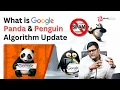 What is Google Panda Google Penguin Algorithm How to Recover from Penalties