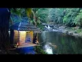 Download Lagu Saya sendirian membangun kabin yang aman untuk bertahan hidup dari binatang buas.bushcraft