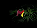 Barrington Levy Girl I love you LYRICS  ESPAÑOL INGLÉS