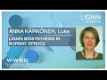 Download Lagu WWSC Lignin webinars: Anna Kärkönen, Luke –  Lignin biosynthesis in Norway spruce