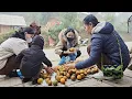 Tuyet harvested the remaining oranges in the garden to sell and buy some things