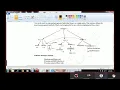 Java collections part 1