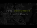 Ceg - Extrovert (Slowed&Reverb)