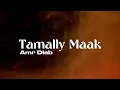 Amr Diab - Tamally Maak (Lyrics) | TFM Extended with Arabic & English Translation