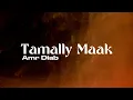 Download Lagu Amr Diab - Tamally Maak (Lyrics) | Arabic \u0026 English Translation