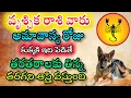 Lagu వృశ్చిక రాశి వారు అమావాస్య రోజు కుక్కకి ఇది పెడితే తరతరాలకు తిన్న తిరగనాస్తు వస్తుంది|Vruchika Rasi