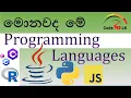 Programming Languages - Java Python JavaScript C Sinhala