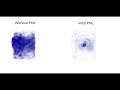 FDTD simulation showing effect of Perfectly Matched Layer in 3D