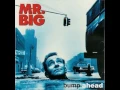 Download Lagu Mr. Big - The Whole World's Gonna Know (Album Version)
