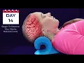 Neck Cloud - Cervical Traction Device
