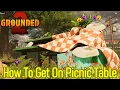 Grounded 2 how to get on the picnic table and briefcase code combination