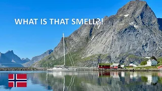 Scenic dinghy ride in Lofoten Ep 35