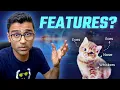 What are the features in machine learning