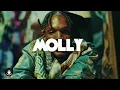 Download Lagu Dancehall Riddim Instrumental 2025 ~ Molly ~  | (Prod. caadobeatz)