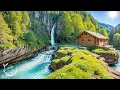 Download Lagu Muzyka koi serce i krew – relaksuje układ nerwowy, cieszy duszę 🎶