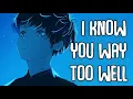 Download Lagu 「Nightcore」→ I Know You Way Too Well (Lyrics) by Infinity8