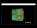 Software Renderer
