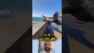 ما يظهر أمامنا ليس دائم ا كما نفهمه فبعض المشاهد ت ذك رنا أن الغيب أعظم وأن قدرة الله فوق كل  تصور دندنها