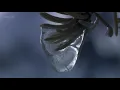 Omar Faruk Tekbilek - Long wait