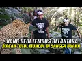 Download Lagu SUSURI ANGKERNYA SANGGA BUANA | MACAN TUTUL MENAMPAKAN DIRI DI LAYAR KAMERA
