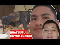 Download Lagu VLOG BUAT SUSU UNTUK ANJING! - DUO GENBER
