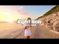 Download Lagu One Direction - Right Now - (Speed up + Reverb)