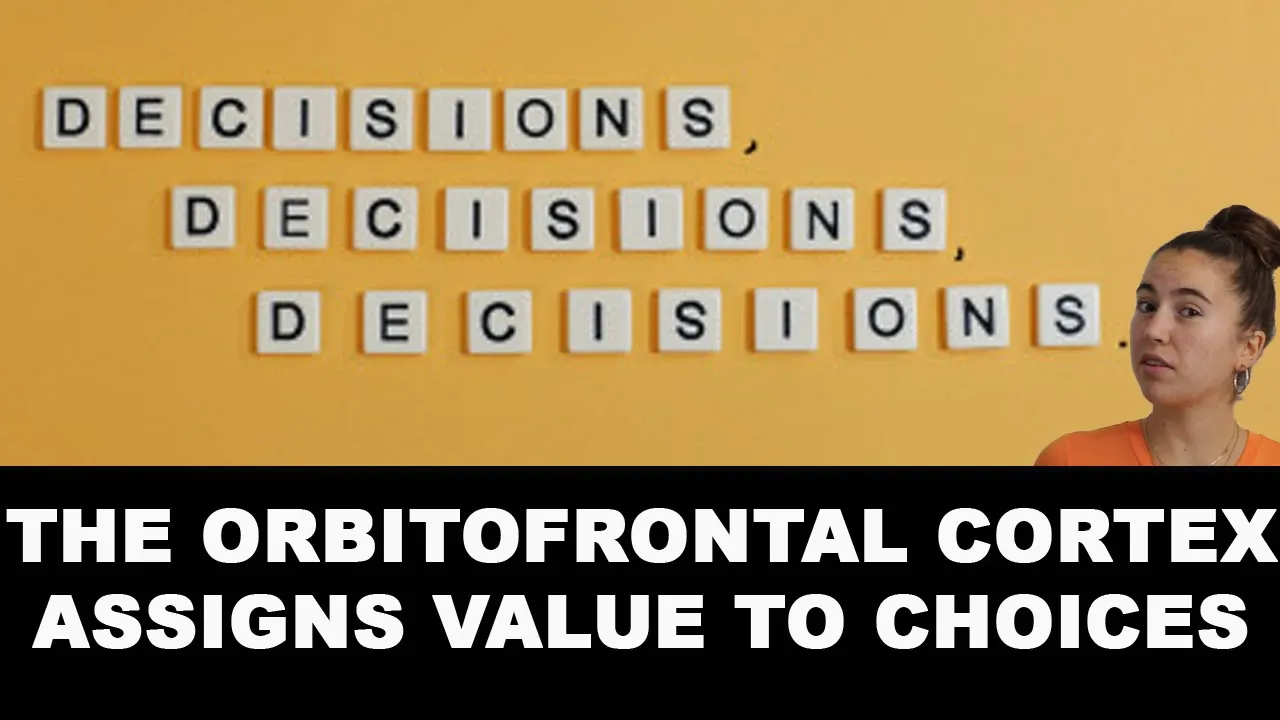 Neuroeconomics: How Orbitofrontal Cortex Neurons Drive Choices