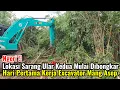 Ngeri‼️Lokasi Sarang Ular Kedua Mulai Di Bongkar Hari Pertama Kerja Excavator Mang Asep