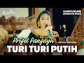 Download Lagu Prigel Pangayu - Turi Turi Putih - Kedhaton Musik Campursari (Official Lyric Video)