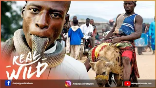 most dangerous animals kept as pets 5 most dangerous pet animals in the world