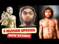 Download Lagu 5 Human Species That Once Roamed the Earth You Must Know About