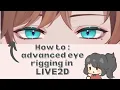 Tutorial Advanced Eye Rigging in Live2D