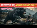 Lagu Bear attack । Pauri Garhwal । Joy hukil । क्या उत्तराखंड के भालू अब इंसानी गंध के आदी हो गए हैं ? 