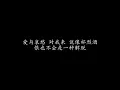 爱与哀愁 童安格 (歌词版)