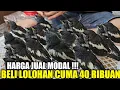 Download Lagu MAKIN MEMANAS ! CUMA KIOS ABADI BIRD YG NEKAD JUAL LOLOHAN SEMURAH INI PANTESAN BIKIN KETAR KETIR