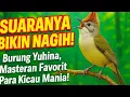 Download Lagu MASTERAN GACOR YUHINA KALIMANTAN NEMBAK KASARAN