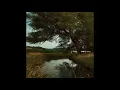 S. Carey – Meadow Song