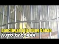 Download Lagu Masteran Pijantung Pisang Ngekek Panjang || Pijantung Pisang Gacor Pancingan Ampuh