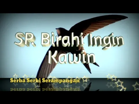 Download MP3 Suara Panggil Walet Birahi Jernih