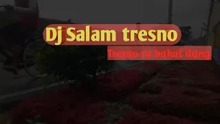 Download Dj salam tresno - tresno ra bakal ilang kangen sang soyo mbekas (safira inema) MP3