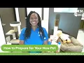 The Pet Pawcast - Caring for your New Pet