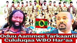 24 6 2025 Tarkaanfii Cululuqaa Gooticha Jaal Marroo Bilxiginnaa Abiy 