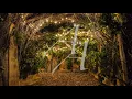 Mexico - The Staves