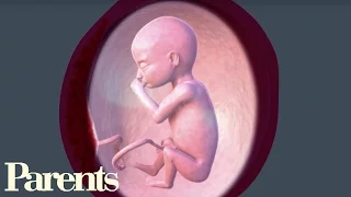 Second Trimester Begins Weeks 13-16 of Pregnancy Parents