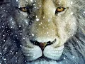 Harry Gregson-Williams-The Wardrobe