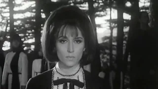 يا زهرة المدائن مترجم كامل أغنية فيروز لفلسطين فيديو كليب نادر 1967 