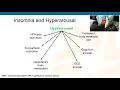 Insomnia Co-Management Strategies Standards of Care and Emerging Pharmacotherapeutic Options