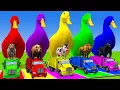 Download Lagu Long Slide Game With Cow Elephant Gorilla Hippopotamus Tiger 3d Animal Game Funny 3d Animals